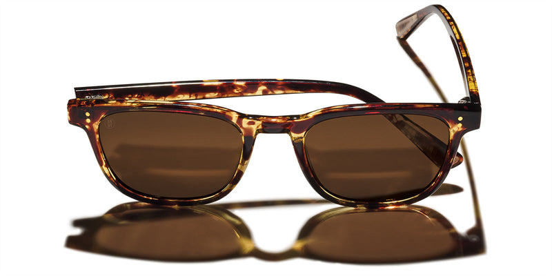 Morro Polarized Sunglasses - Tokyo Tortoise / Brown 12