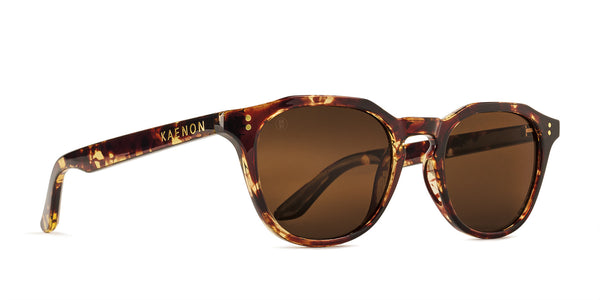 Pacifica Polarized Sunglasses - Tokyo Tortoise / Brown 12