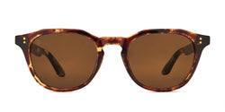 Pacifica Polarized Sunglasses - Tokyo Tortoise / Brown 12