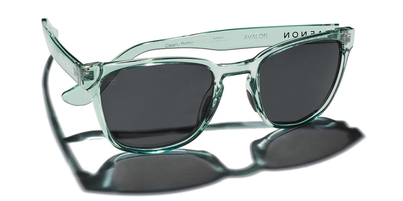 Buy the Avalon Polarized Sunglasses now