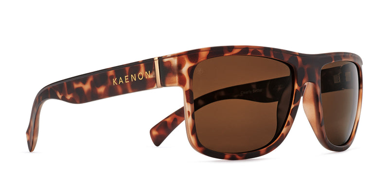 Buy the Arroyo Polarized Sunglasses now