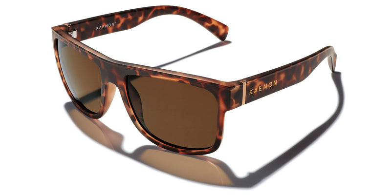 Buy the Arroyo Polarized Sunglasses now