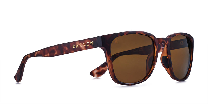 Buy the Avalon Polarized Sunglasses now