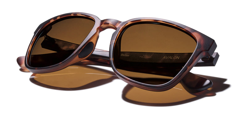 Buy the Avalon Polarized Sunglasses now