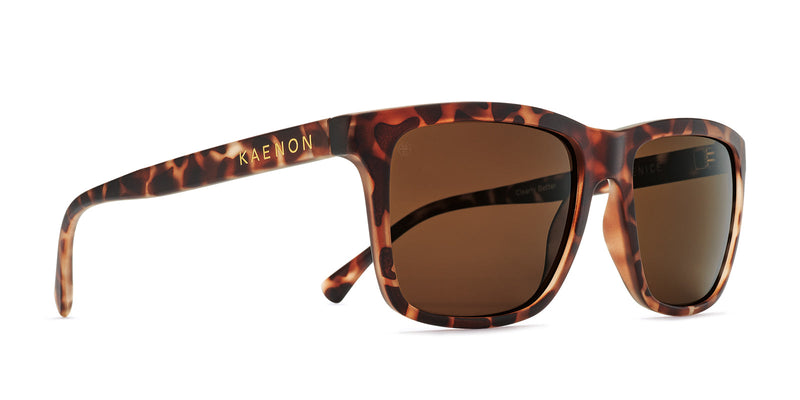 Shop The Best Polarized Sunglasses $100 With Free Shipping And Free Returns